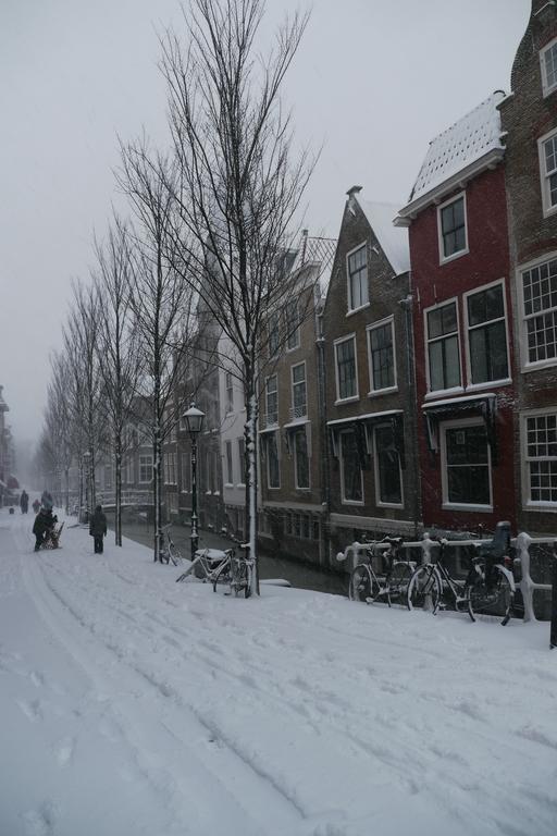 Comfortable City Centre * The Hague
